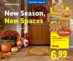 Lidl fall coir mat assortment offer