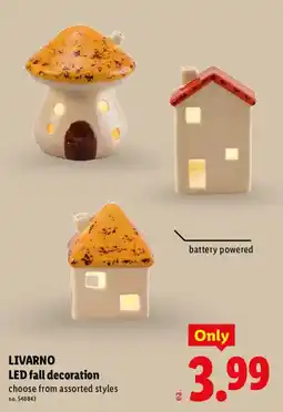 Lidl Livarno led fall decoration offer