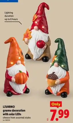 Lidl Livarno gnome decoration with solar LEDs offer