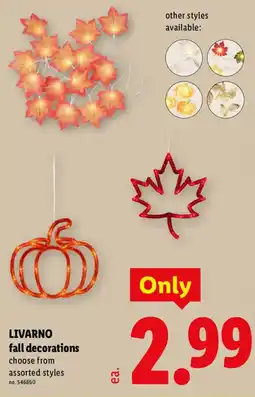Lidl Livarno fall decorations offer