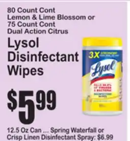 SuperFresh Lysol Disinfectant Wipes offer