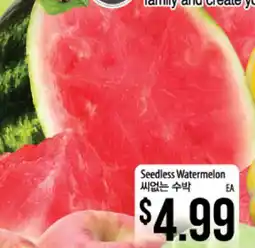 Hmart Seedless Watermelon offer