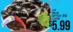 Hmart Live Mussel offer