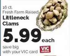 Harris Teeter Fresh Farm Raised Littleneck Clams offer