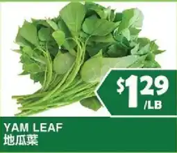 99 Ranch Yam Leaf offer