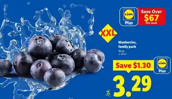Lidl Lidl blueberries offer