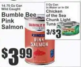 Bumble Bee Pink Salmon
