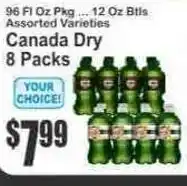 Key Food Canada Dry offer