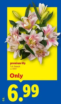 Lidl Premium lily offer