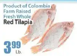 Food Universe Red Tilapia offer