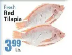 Key Food Fresh Red Tilapia offer
