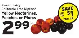 Hannaford California Tree Ripened Yellow Nectarines, Peaches or Plums offer
