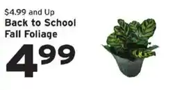 Hannaford Fall Foliage offer