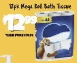 Big Lots 12pk Mega Roll Bath Tissue offer