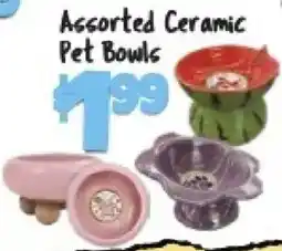 Big Lots Assorted Ceramic Pet Bowls offer