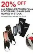 Dunham's Sports Puma soccer balls and shin guards offer