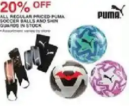Dunham's Sports All regular priced puma soccer balls and shin guards in stock offer