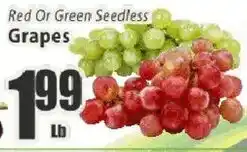 Food Universe Red Or Green Seedless Grapes offer