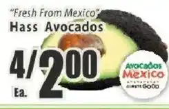 Food Universe Hass Avocados offer