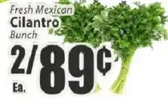 Food Universe Fresh Mexican Cilantro Bunch offer