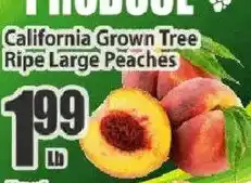 Food Universe produce california grown tree ripe large peaches offer