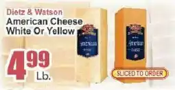 Key Food Dietz & Watson American Cheese offer