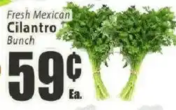Key Food Fresh Mexican Cilantro Bunch offer