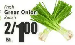 Key Food Fresh Green Onion Bunch offer