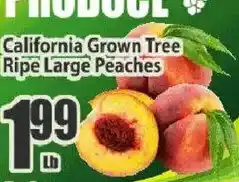 Key Food California Grown Tree Ripe Large Peaches offer