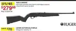 Dunham's Sports Ruger 10/22 Carbine offer