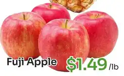 Tokyo Central Specialty Market Fuji Apple offer