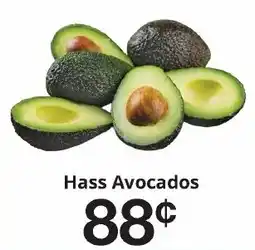 Hays Supermarket Hass Avocados offer