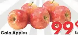 Valley Marketplace Gala Apples offer