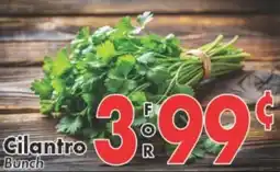 Valley Marketplace Cilantro Bunch offer