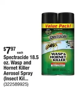 The Home Depot Spectracide wasp and hornet killer aerosol spray offer