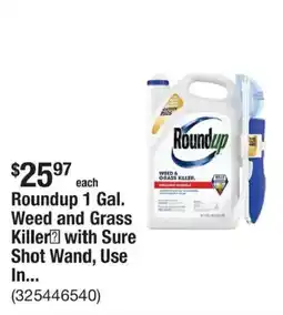 The Home Depot Roundup weed and grass killer offer