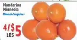 La Bonita Supermarkets Mandarina Minneola offer