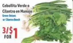 La Bonita Supermarkets Green Onions or Cilantro Bunch offer