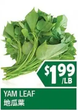 99 Ranch Yam Leaf offer