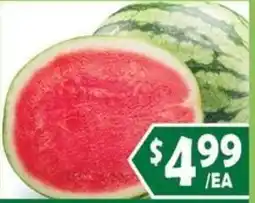 99 Ranch Watermelon offer