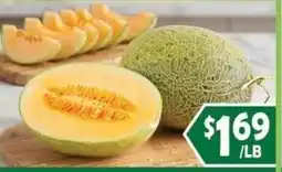99 Ranch Melon offer