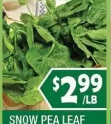 99 Ranch Snow Pea Leaf offer