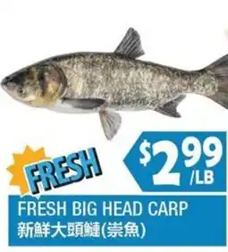 99 Ranch Fresh Big Head Carp offer