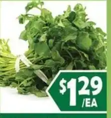 99 Ranch Mint offer