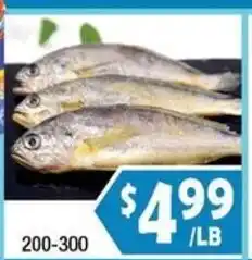 99 Ranch Fish offer