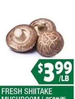 99 Ranch Fresh Shiitake Mushroom offer