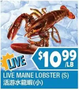 99 Ranch Live maine lobster offer