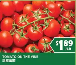 99 Ranch Tomato on the Vine offer