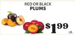 Harter House Red or Black Plums offer