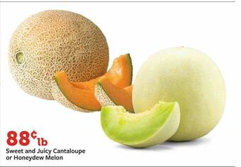 Fareway Sweet And Juicy Cantaloupe Or Honeydew Melon offer